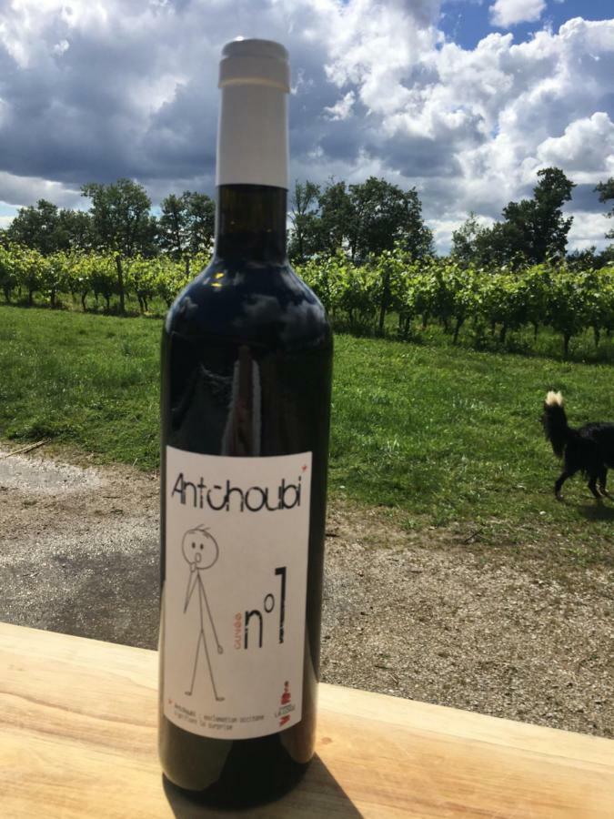 Chateau La Loge Villematier Zewnętrze zdjęcie